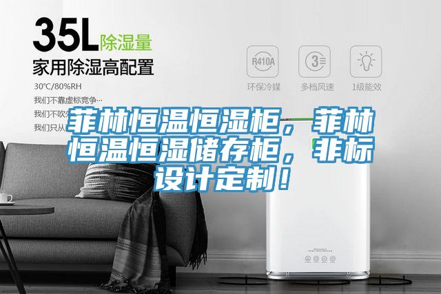 菲林恒溫恒濕柜，菲林恒溫恒濕儲(chǔ)存柜，非標(biāo)設(shè)計(jì)定制！