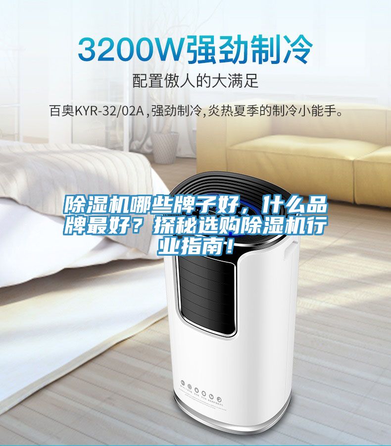 除濕機(jī)哪些牌子好，什么品牌最好？探秘選購(gòu)除濕機(jī)行業(yè)指南！