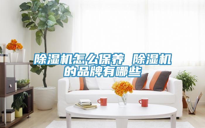 除濕機怎么保養(yǎng) 除濕機的品牌有哪些