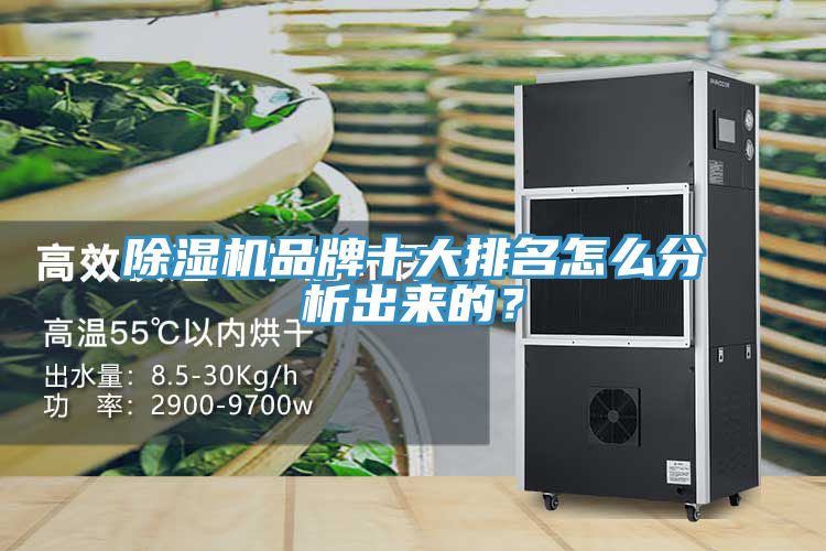 除濕機(jī)品牌十大排名怎么分析出來(lái)的？