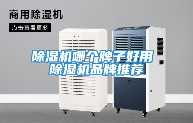 除濕機(jī)哪個牌子好用 除濕機(jī)品牌推薦