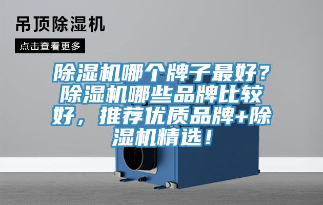 除濕機哪個牌子最好？除濕機哪些品牌比較好，推薦優(yōu)質(zhì)品牌+除濕機精選！