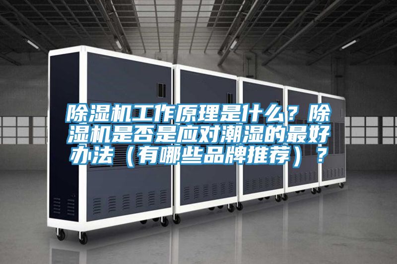 除濕機工作原理是什么？除濕機是否是應(yīng)對潮濕的最好辦法（有哪些品牌推薦）？