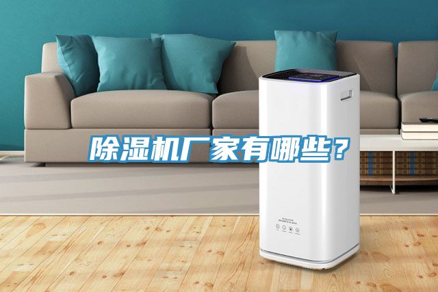 除濕機(jī)廠家有哪些？