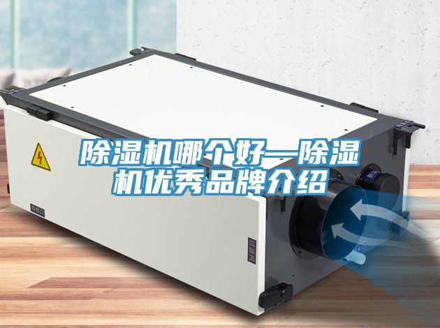 除濕機哪個好—除濕機優(yōu)秀品牌介紹