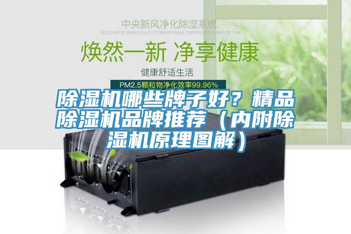 除濕機(jī)哪些牌子好？精品除濕機(jī)品牌推薦（內(nèi)附除濕機(jī)原理圖解）