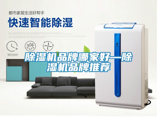 除濕機(jī)品牌哪家好—除濕機(jī)品牌推薦