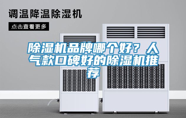 除濕機(jī)品牌哪個(gè)好？人氣款口碑好的除濕機(jī)推薦