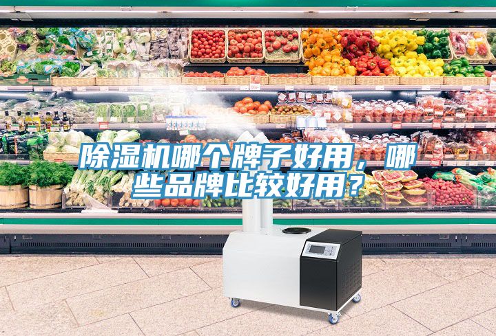 除濕機(jī)哪個牌子好用，哪些品牌比較好用？