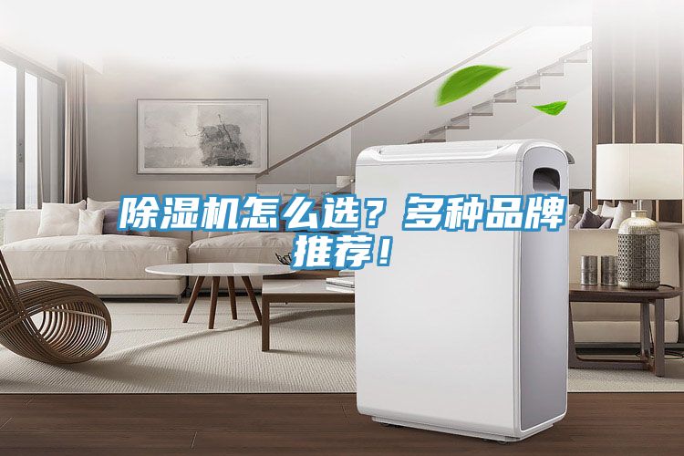 除濕機怎么選？多種品牌推薦！