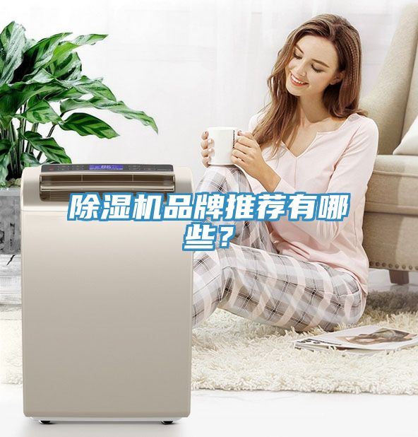 除濕機(jī)品牌推薦有哪些？