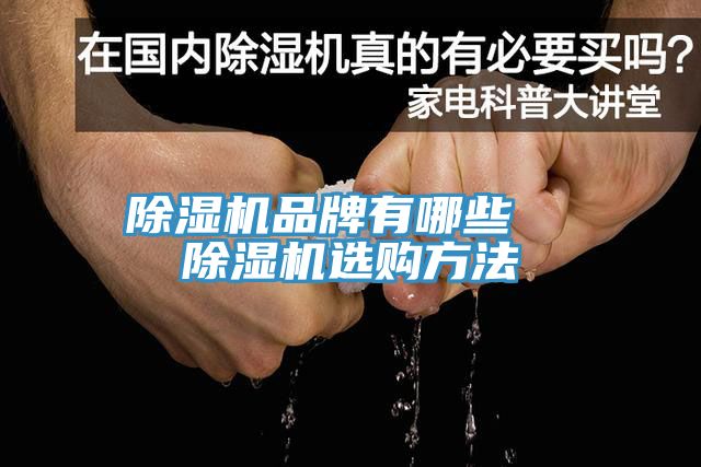除濕機(jī)品牌有哪些  除濕機(jī)選購方法