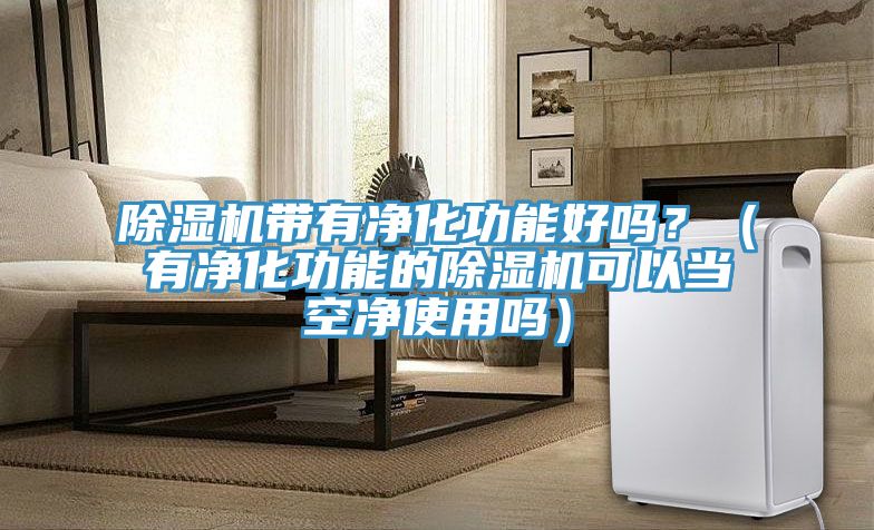 除濕機帶有凈化功能好嗎？（有凈化功能的除濕機可以當(dāng)空凈使用嗎）