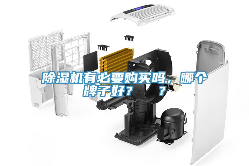 除濕機(jī)有必要購買嗎，哪個(gè)牌子好？  ？
