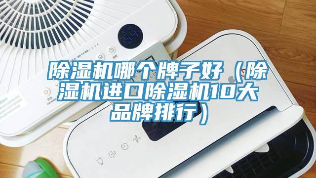 除濕機(jī)哪個(gè)牌子好（除濕機(jī)進(jìn)口除濕機(jī)10大品牌排行）