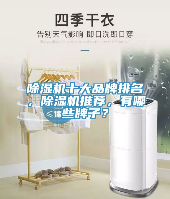除濕機(jī)十大品牌排名，除濕機(jī)推薦，有哪些牌子？