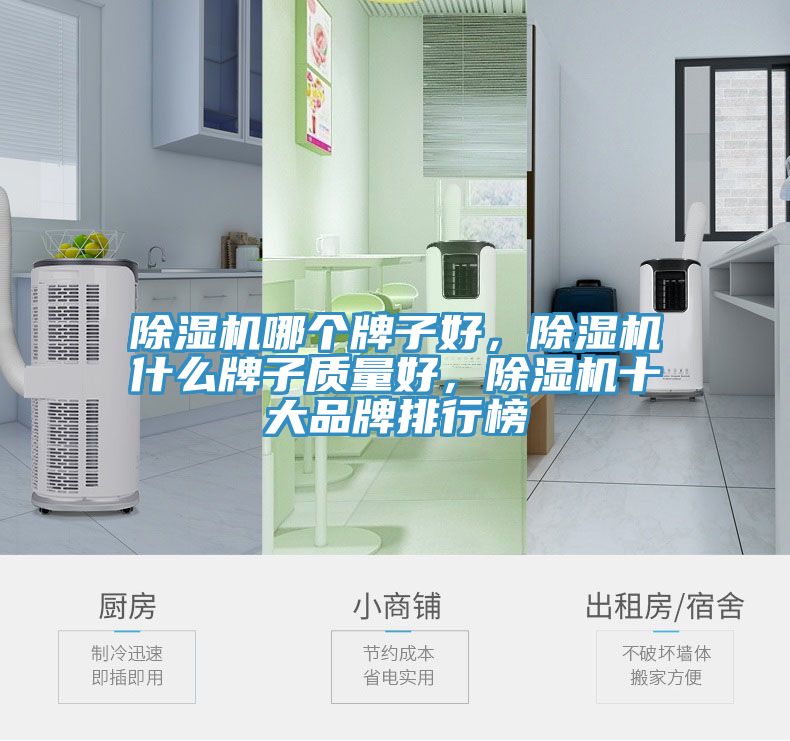 除濕機(jī)哪個(gè)牌子好，除濕機(jī)什么牌子質(zhì)量好，除濕機(jī)十大品牌排行榜
