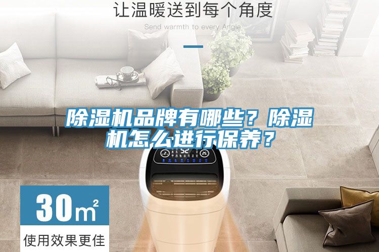 除濕機(jī)品牌有哪些？除濕機(jī)怎么進(jìn)行保養(yǎng)？