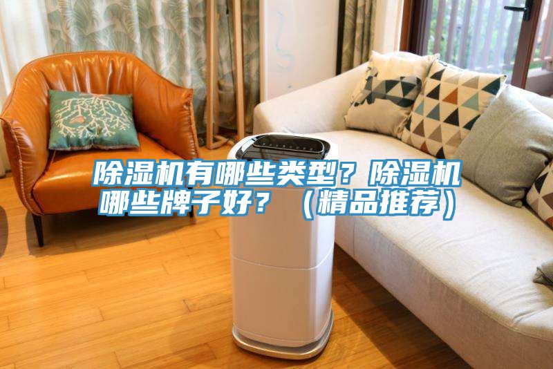 除濕機(jī)有哪些類型？除濕機(jī)哪些牌子好？（精品推薦）