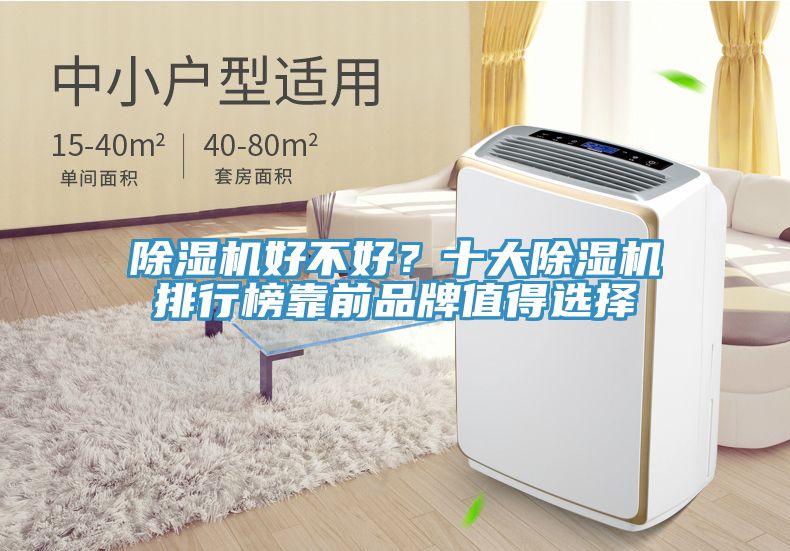 除濕機(jī)好不好？十大除濕機(jī)排行榜靠前品牌值得選擇