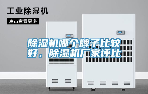 除濕機哪個牌子比較好，除濕機廠家評比