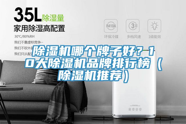 除濕機(jī)哪個(gè)牌子好？10大除濕機(jī)品牌排行榜（除濕機(jī)推薦）