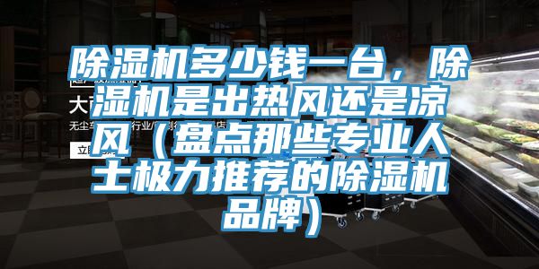 除濕機(jī)多少錢一臺(tái)，除濕機(jī)是出熱風(fēng)還是涼風(fēng)（盤點(diǎn)那些專業(yè)人士極力推薦的除濕機(jī)品牌）