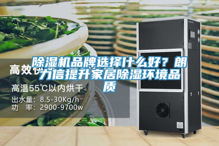 除濕機(jī)品牌選擇什么好？朗力信提升家居除濕環(huán)境品質(zhì)