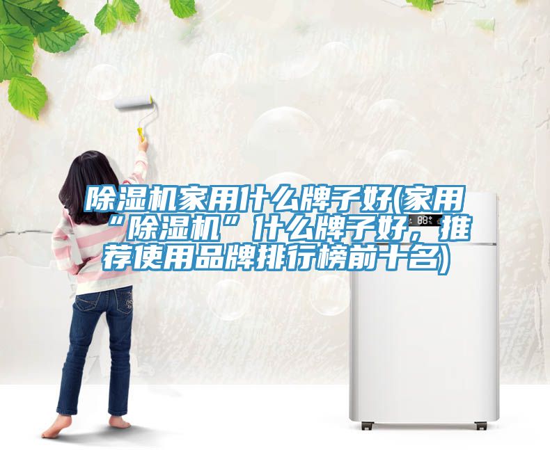 除濕機家用什么牌子好(家用“除濕機”什么牌子好，推薦使用品牌排行榜前十名)