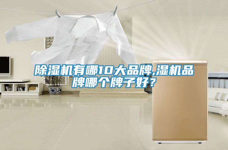 除濕機有哪10大品牌,濕機品牌哪個牌子好？