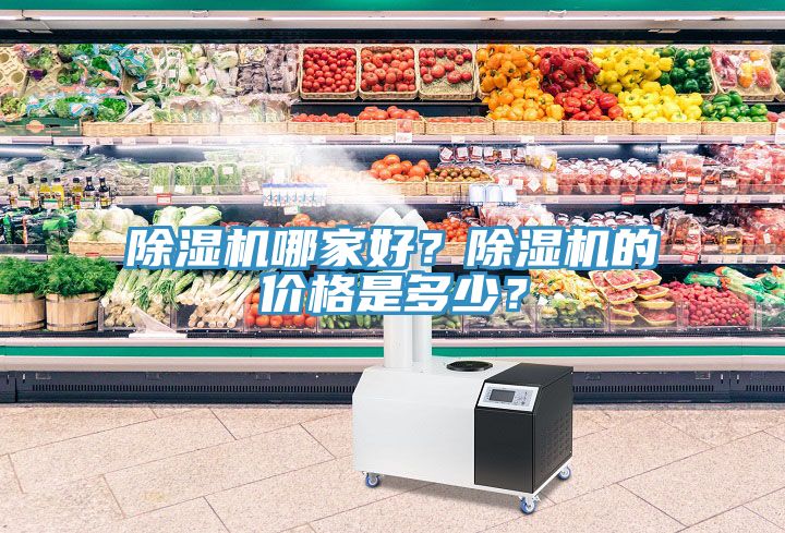 除濕機(jī)哪家好？除濕機(jī)的價(jià)格是多少？
