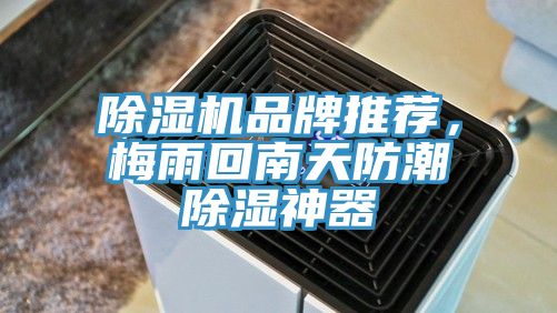 除濕機(jī)品牌推薦，梅雨回南天防潮除濕神器