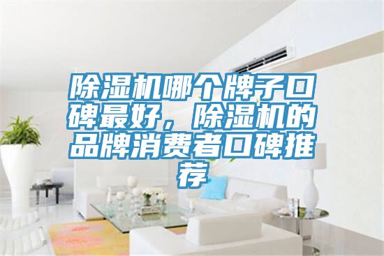 除濕機哪個牌子口碑最好，除濕機的品牌消費者口碑推薦