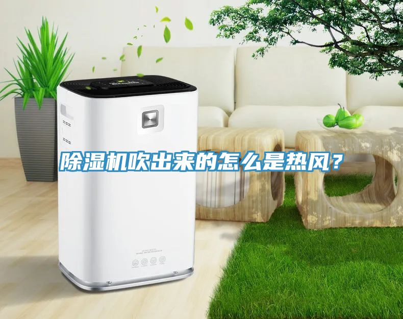 除濕機(jī)吹出來的怎么是熱風(fēng)？