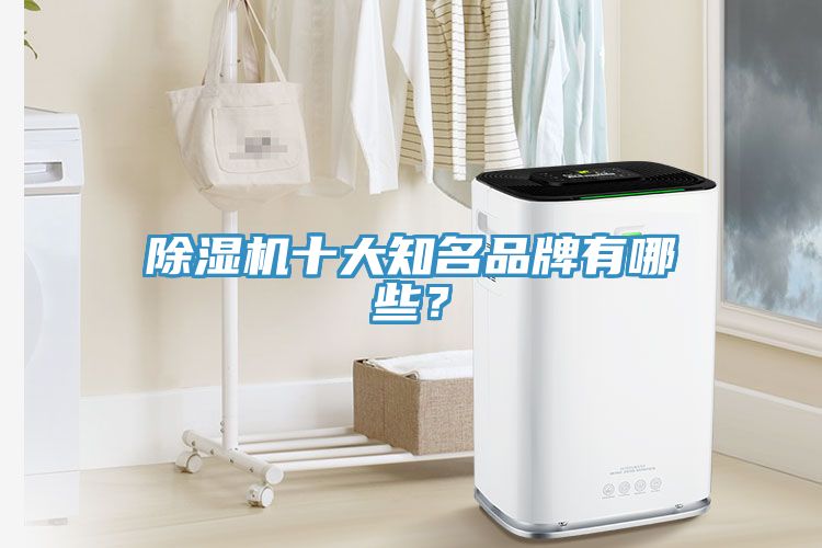 除濕機十大知名品牌有哪些？