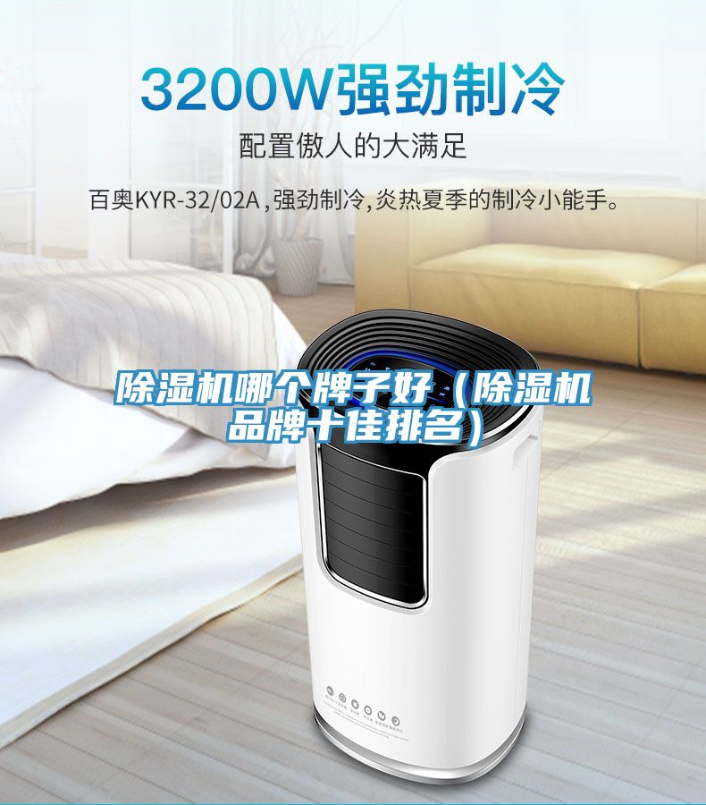 除濕機(jī)哪個(gè)牌子好（除濕機(jī)品牌十佳排名）