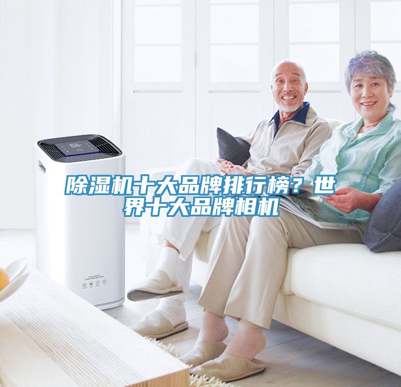 除濕機十大品牌排行榜？世界十大品牌相機