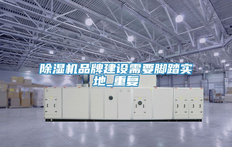 除濕機(jī)品牌建設(shè)需要腳踏實(shí)地_重復(fù)