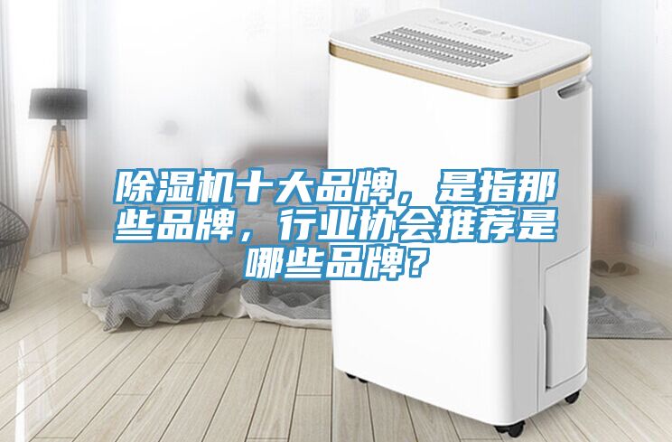 除濕機十大品牌，是指那些品牌，行業(yè)協(xié)會推薦是哪些品牌？