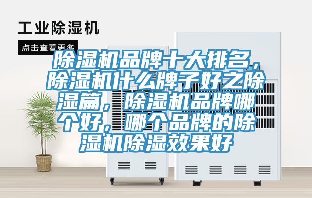 除濕機(jī)品牌十大排名，除濕機(jī)什么牌子好之除濕篇，除濕機(jī)品牌哪個好，哪個品牌的除濕機(jī)除濕效果好
