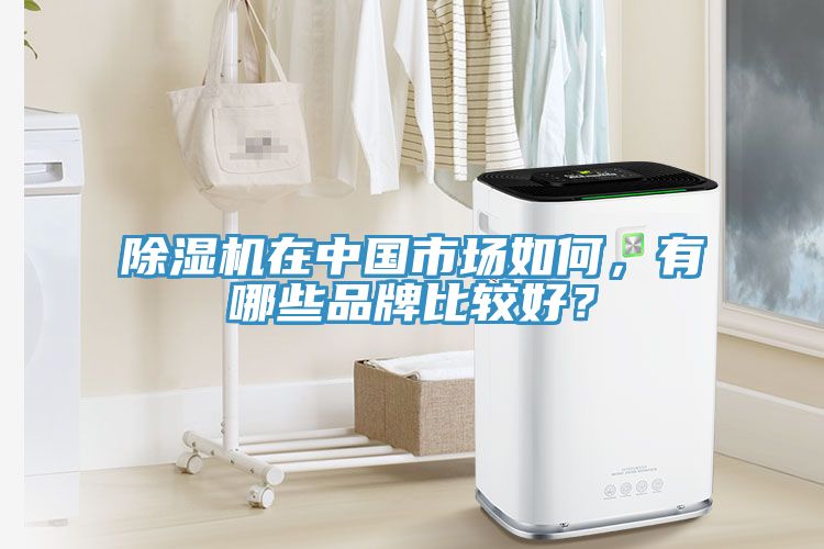 除濕機(jī)在中國(guó)市場(chǎng)如何，有哪些品牌比較好？