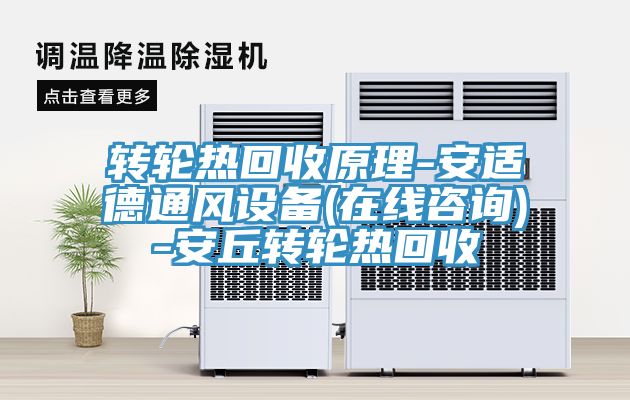 轉(zhuǎn)輪熱回收原理-安適德通風設備(在線咨詢)-安丘轉(zhuǎn)輪熱回收