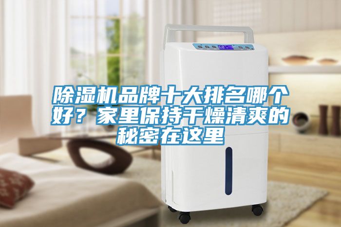 除濕機(jī)品牌十大排名哪個(gè)好？家里保持干燥清爽的秘密在這里