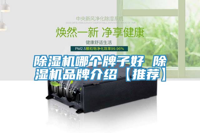 除濕機(jī)哪個牌子好 除濕機(jī)品牌介紹【推薦】