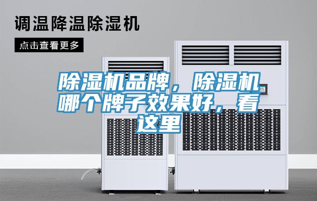 除濕機(jī)品牌，除濕機(jī)哪個(gè)牌子效果好，看這里