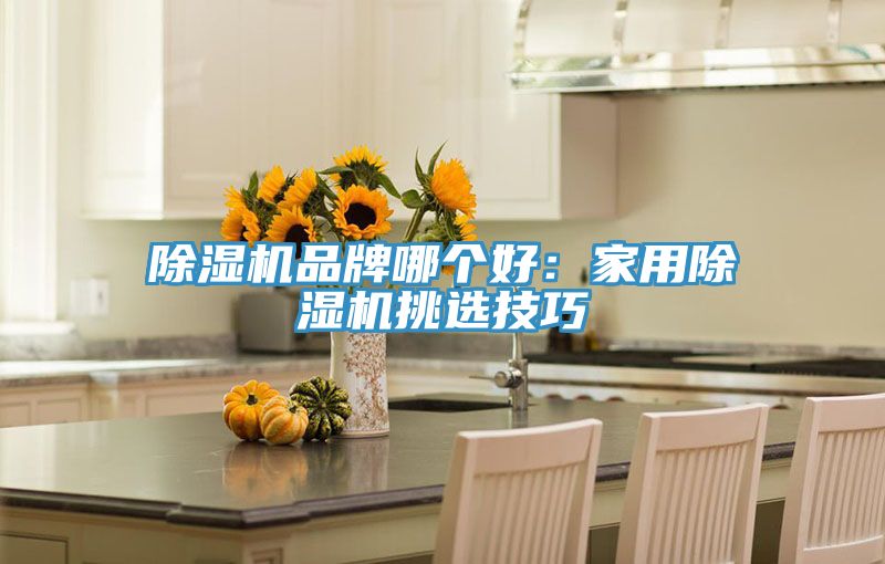 除濕機(jī)品牌哪個(gè)好：家用除濕機(jī)挑選技巧