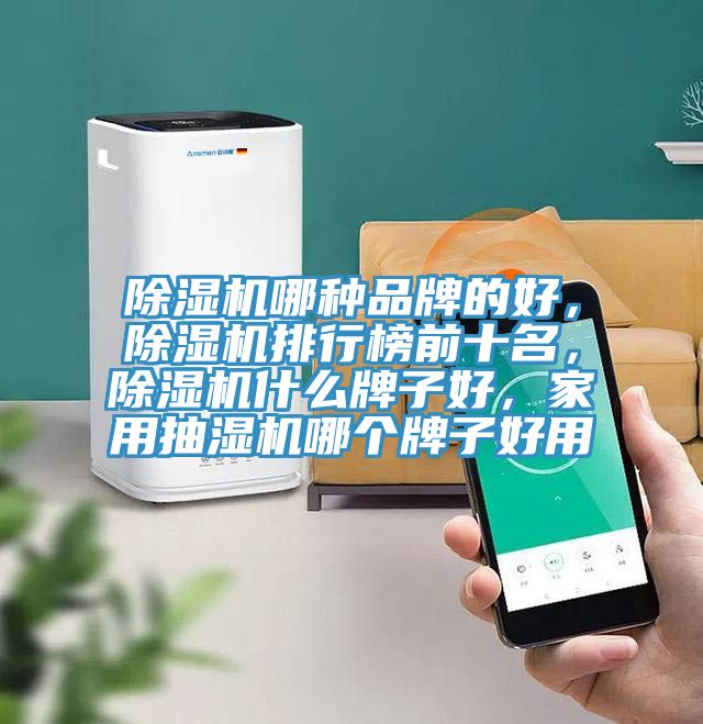 除濕機(jī)哪種品牌的好，除濕機(jī)排行榜前十名，除濕機(jī)什么牌子好，家用抽濕機(jī)哪個(gè)牌子好用