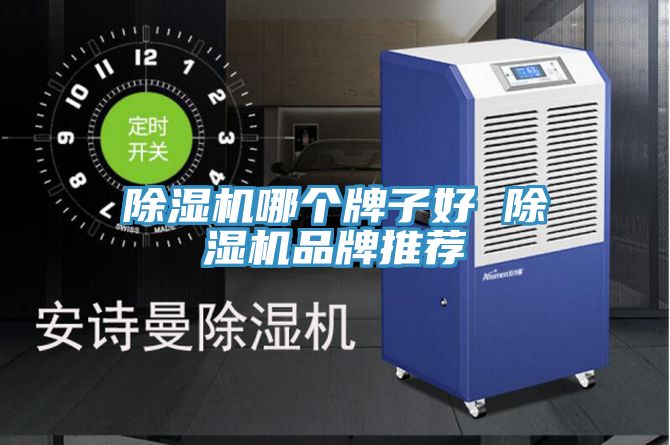 除濕機(jī)哪個牌子好 除濕機(jī)品牌推薦
