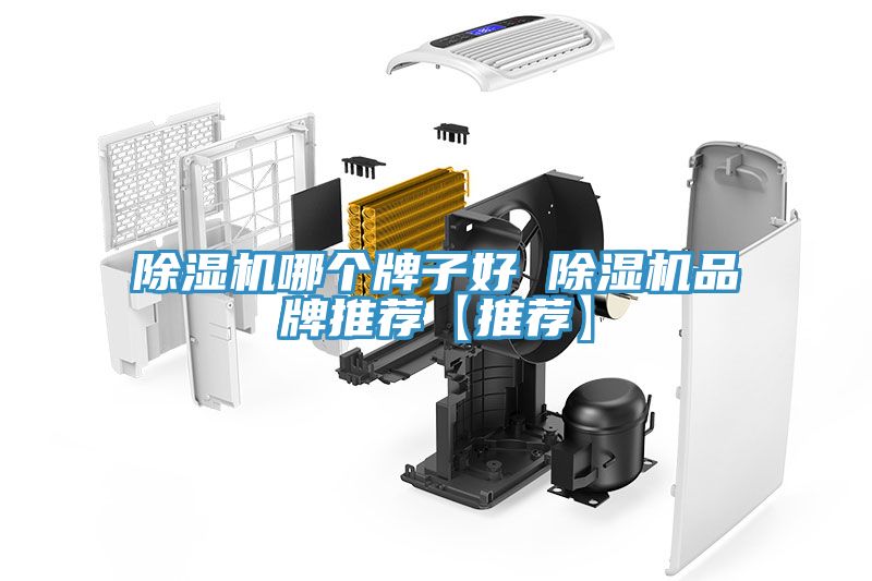 除濕機(jī)哪個牌子好 除濕機(jī)品牌推薦【推薦】