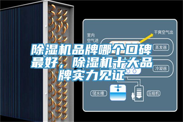 除濕機(jī)品牌哪個口碑最好，除濕機(jī)十大品牌實力見證